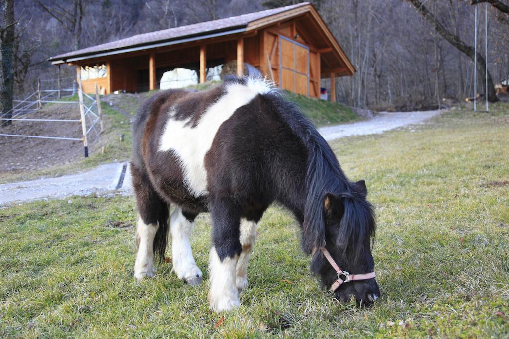 Agritur La Polentera Guest House Storo ภายนอก รูปภาพ