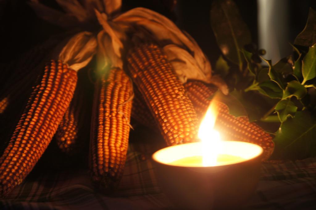 Agritur La Polentera Guest House Storo ภายนอก รูปภาพ